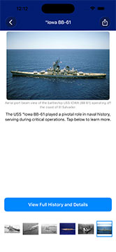 Battleships App - Ship Details